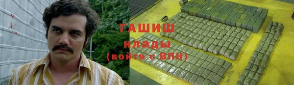 гидра Алексин