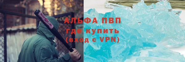 гидра Алексин